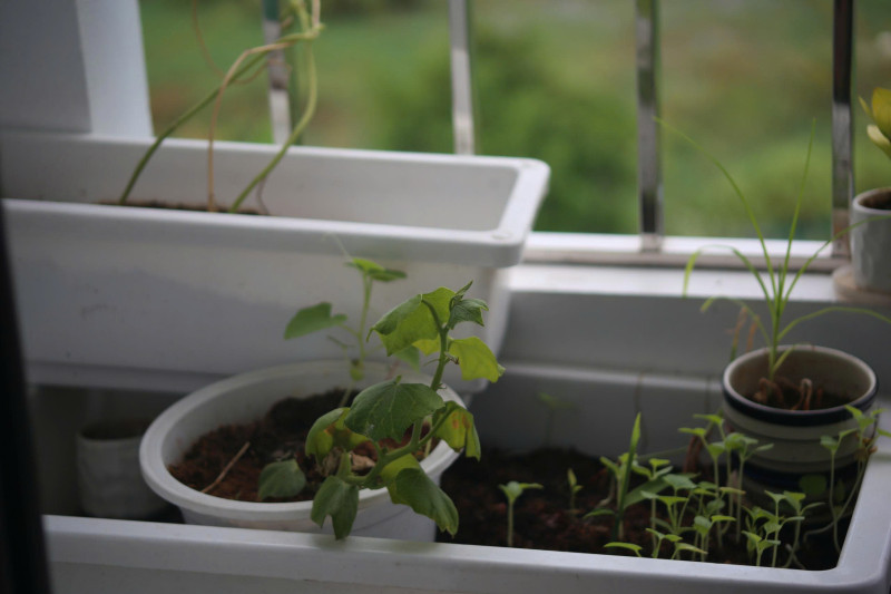 Lens Tamron 80-210mm for canon EF full frame and crop - Ống kính Canon EF