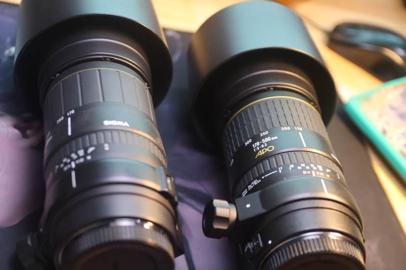 Lens Sigma 170-500mm APO for canon EF - Ống kính siêu tele